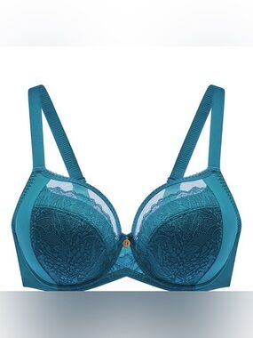 46K Paige Teal Lace Underwire Bra - Understance